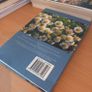 Herbs Image 3