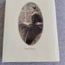 The Country Diary of an Edwardian Lady 1979 by Edith Holden in very good condition with some wear to the dustcover see photos FREE STANDARD POSTAGE INCLUDED Image 2