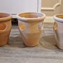 Strawberry pot Image 3