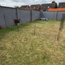 chicken fencing Image 2