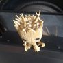 Marvel groot Image 2