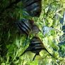 juwel Trigon 350 Image 7