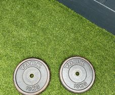 Weights/Barbells/Dumbells