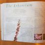 Kew Royal Botanic Kew Gardens Souvenir Guide. Image 7