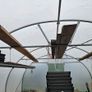 Polytunnel Image 2
