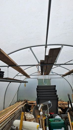Polytunnel