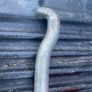 3 English Made Pry Bars Image 6