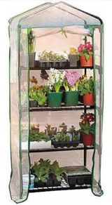 Mini greenhouse