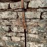 Unique handcrafted Antique Cane Image 6