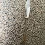 EPNS Fish Cutlery Image 5