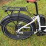 Rad power Ebike rhino step thru Image 2