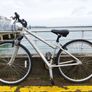 Carrera Mountain Bike Image 5