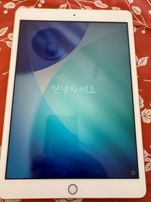 iPad 8th generation