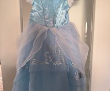 Disney princess dress