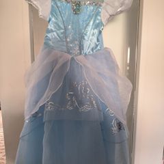 Disney princess dress