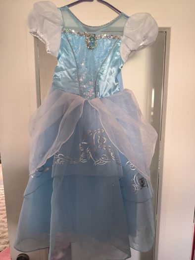 Disney princess dress