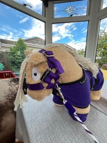 Crafty ponies