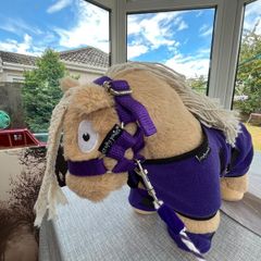 Crafty ponies
