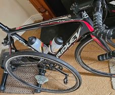 Ridley orion