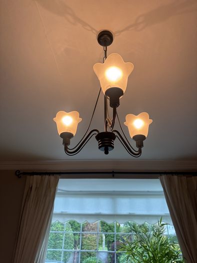 Light