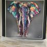 Louise Luton Elephant Photo 40in  40in (New) Image 5