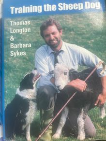 Training The Sheep Dog