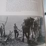 The Countryside Remembered  / Sadie Ward / 1993 Image 6