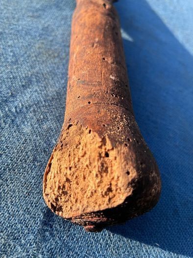 Antique Pierce sickle