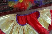 costume clown
