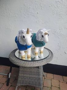 Pony Unicorn