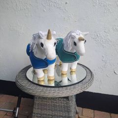 Pony Unicorn