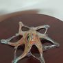 Vintage Carnival glass . Price from 25 euro. Image 9
