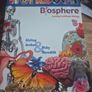 Biosphere Leaving Certificate Biology Image 3