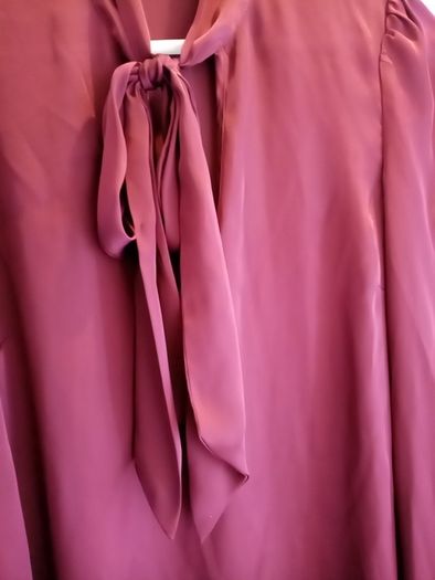 Ladies dressy top