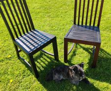 chairs