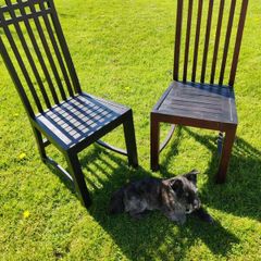 chairs