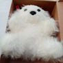 Soft Toy Dog in a Box Image 2