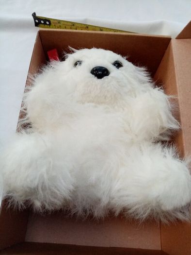Soft Toy Dog in a Box