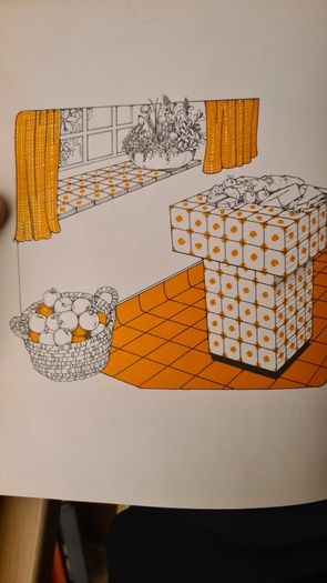 Fashioning Furniture. Beautiful Designs That Will Save You Money. . By John Trigg And David Field. FIRST EDITION. 1974.Hardback In Very Good Condition.