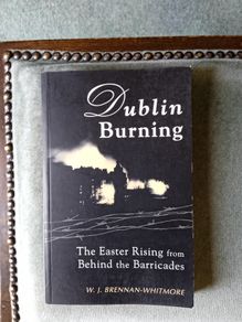 Dublin Burning by E J Brennan-Whitmore