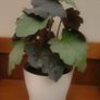 Artificial Plants in Ceramic Pots x2 Image 8