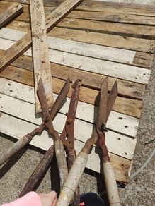 Garden shears