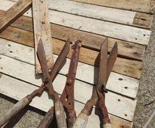Garden shears