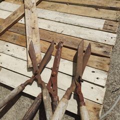 Garden shears