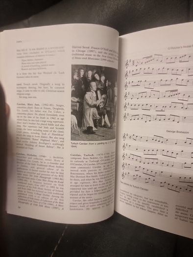 Companion to Irish Traditional Music (Hardback)