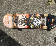 skateboards