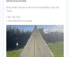 Festival