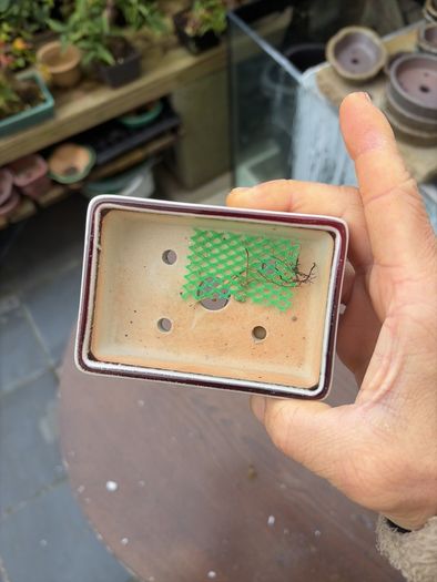 bonsai pot