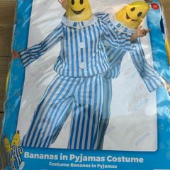 costumes for adult