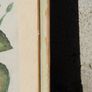 Print of a Yellow Rose Framed green frame Image 4